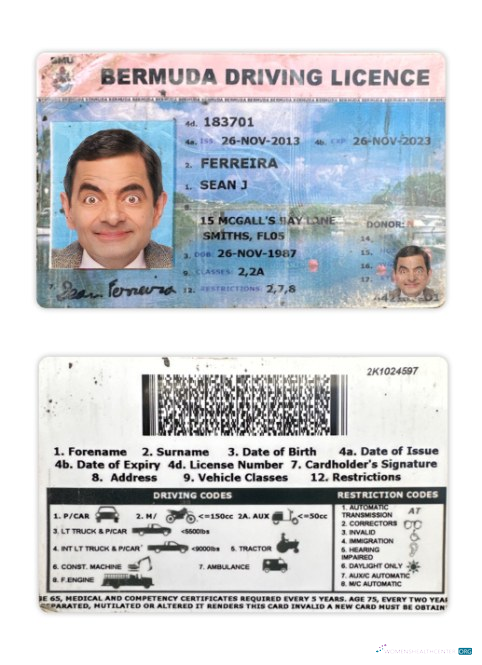download Bermuda driving license